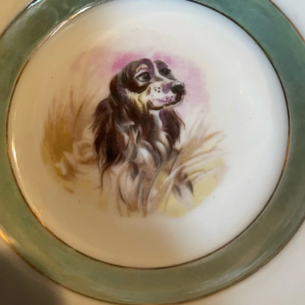 Spaniel Canine Hunting Dog Ashtray Japan Gold Rim 5 5/8”diameter Luster Ware